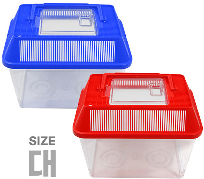 대일 사각 채집통(대) 장수풍뎅이 사슴벌레 곤충 케이지