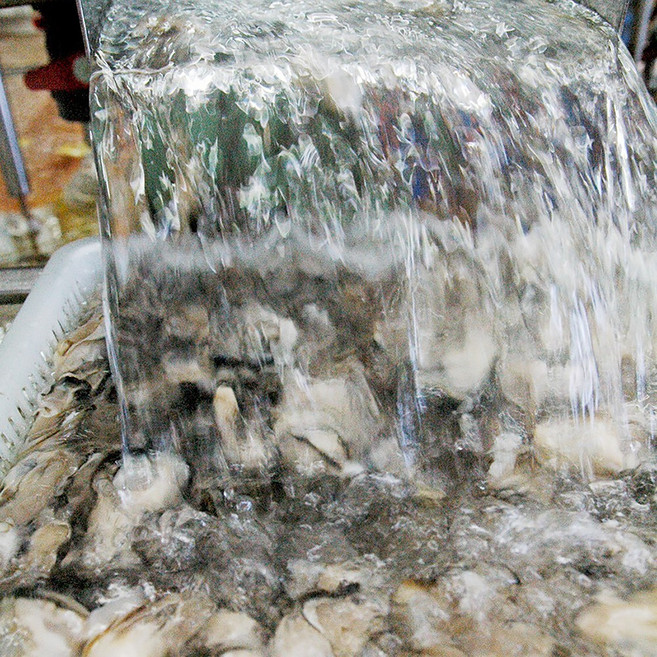 통영 세척 생굴 당일조업 깐굴, 1개, 3kg