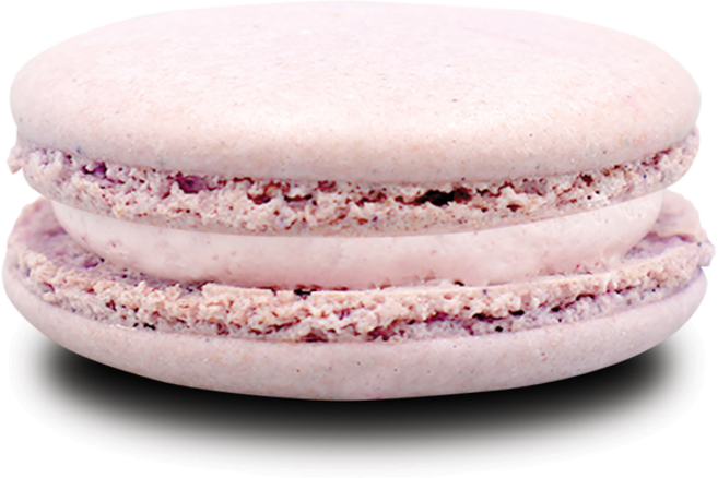 냉동 마카롱 블루베리요거트 잇츠유 디저트이고, 24g, 20개