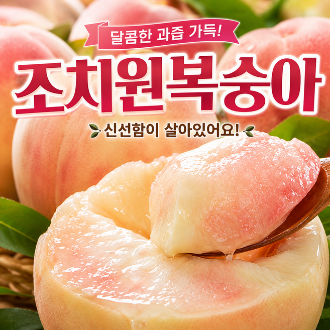 3위 - [하루50박스] 산지직송 고당도 조치원복숭아 백도말랑이 대과, 1박스, 1kg