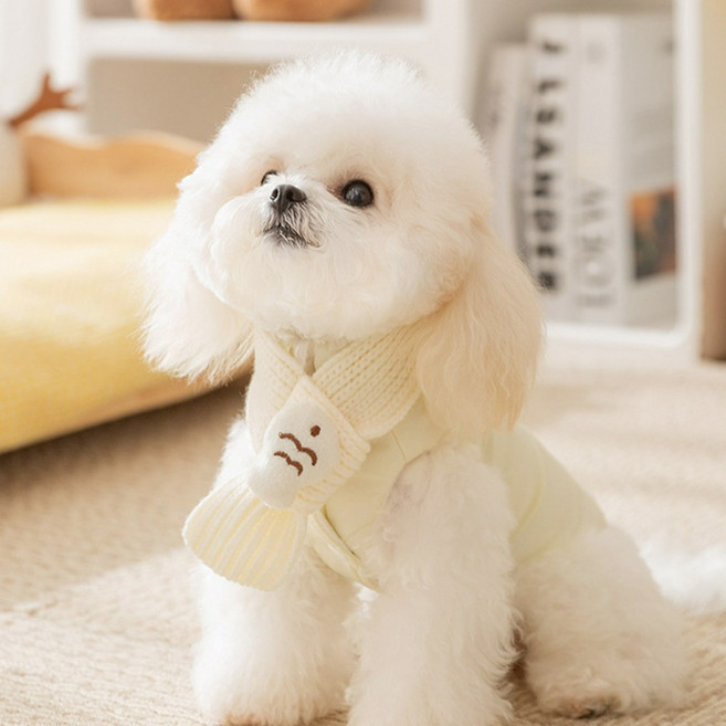 숑숑펫 애완동물 미니 플라워 패딩 조끼 목도리 세트, 1개, 아이보리