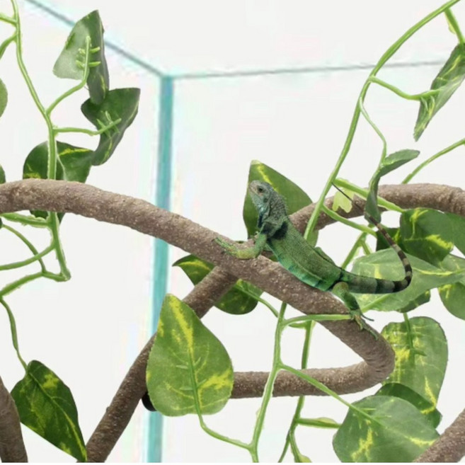 테라리움 덩굴장식 꾸미기 파충류 도마뱀 카멜레온, 1개, 1.5m