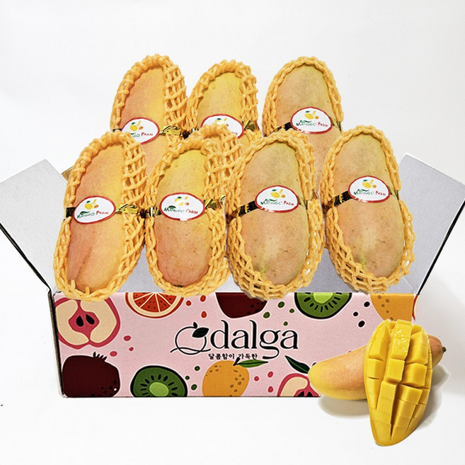 달가 직수입 태국 마하차녹 무지개 생 망고 2.5kg내외, 1개