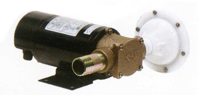 대화전기 연료펌프(소형) DPF40S-12, 1개