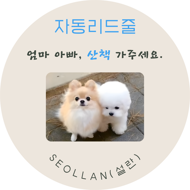 반려동물 자동리드줄-SJ, 1개, 블루