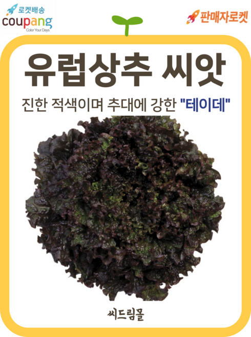 씨드림몰 유럽상추 씨앗 샐러드 쌈채소 테이데 100립, 1개