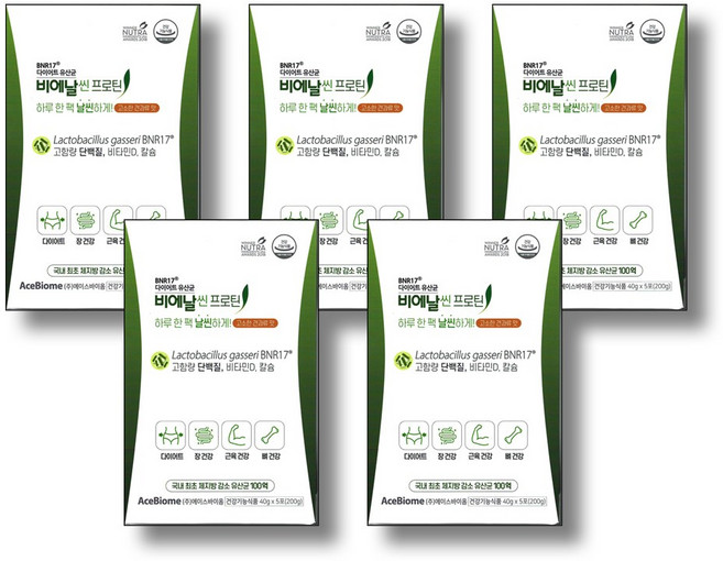 비에날씬 BNR17 [본사출고] 프로틴, 200g, 5개