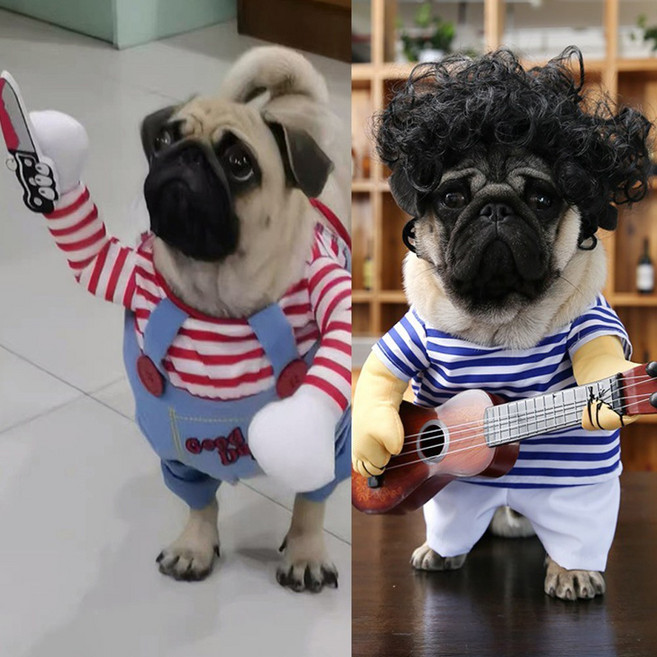 포시럽 펫 코스튬 의상, 1개