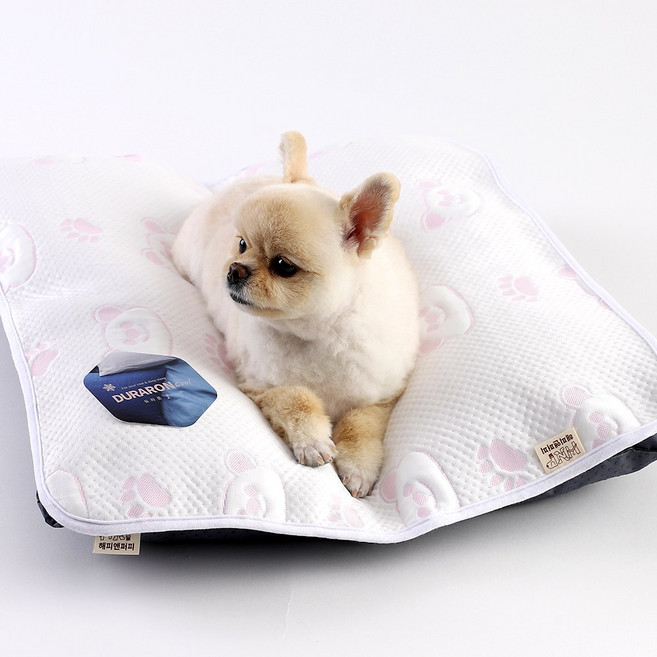 해피앤퍼피 반려동물 쿨매트 듀라론100% 강아지 쿨링젤세트, 6.듀라론핑크+쿨링젤세트, 1개