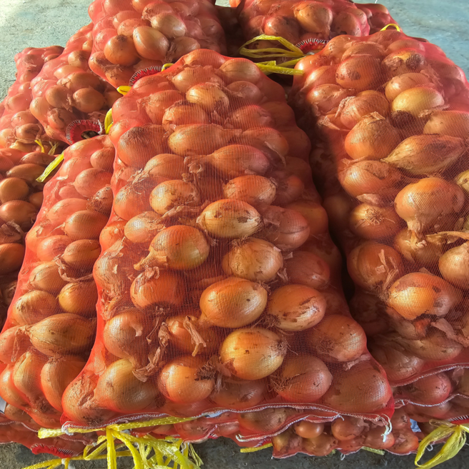 고품질 국내산 신선하고 단단한 햇양파, 1박스, 10KG(중소)
