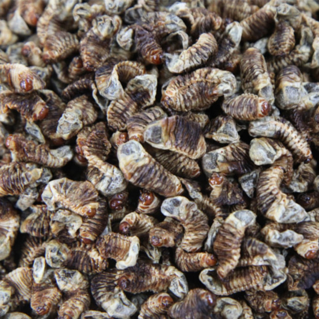 건조굼벵이 250g - 식용 국산 말린굼벵이 건꽃뱅이, 1개