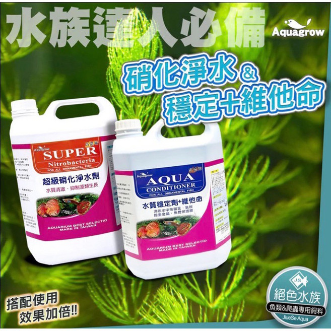 甫河水族企業 紅AQ最強水質穩定劑 維他命 超級硝化菌 培菌 生物系統 水質清澈 除氯/超商4000L限一瓶, 1個, 超級硝化菌2000ML