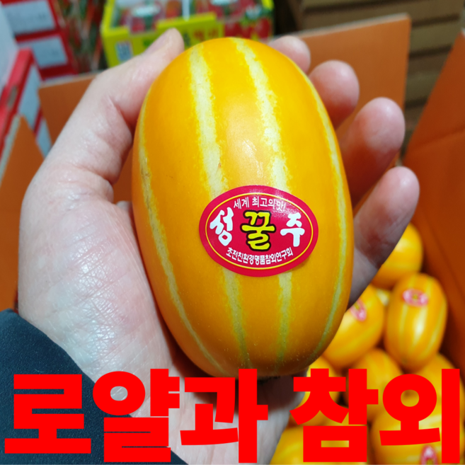 성주 참외 정품 로얄과 선물용, 1박스, 로얄과 5kg(13~19개)