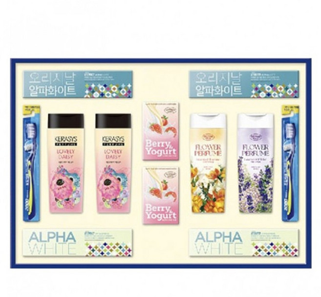 애경 다온 24호 선물세트 1박스(5세트) 설 추석 선물 샴푸 치약 칫솔 바디워시 (Kingston Aenue), 5세트