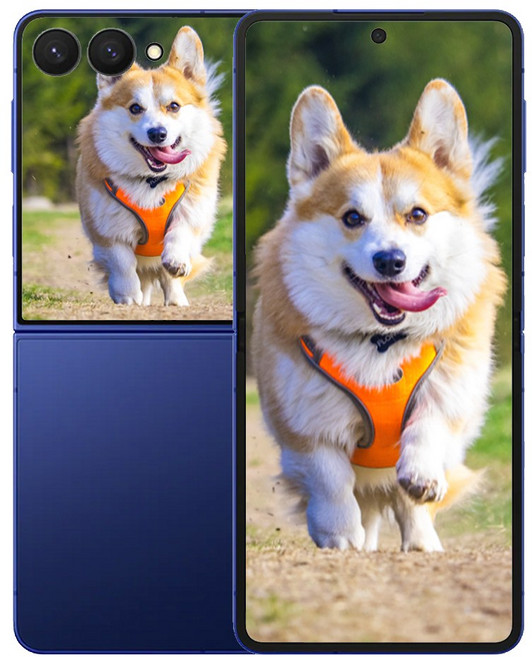 삼성전자 갤럭시 Z 플립7, 256GB, Blue (블루)