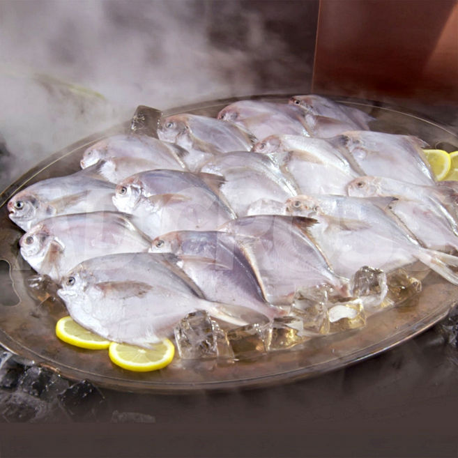 [인포벨]TV홈쇼핑정품 애드크로스 부산수산가공단지 가시없는 급냉 손질 병어 가시없는 병어 조림 튀김, 1세트, 800g내외(8미)