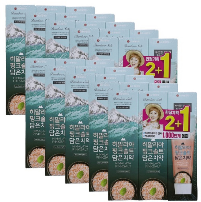 LG생활건강 히말라야 핑크솔트 담은 치약, 100g, 10개