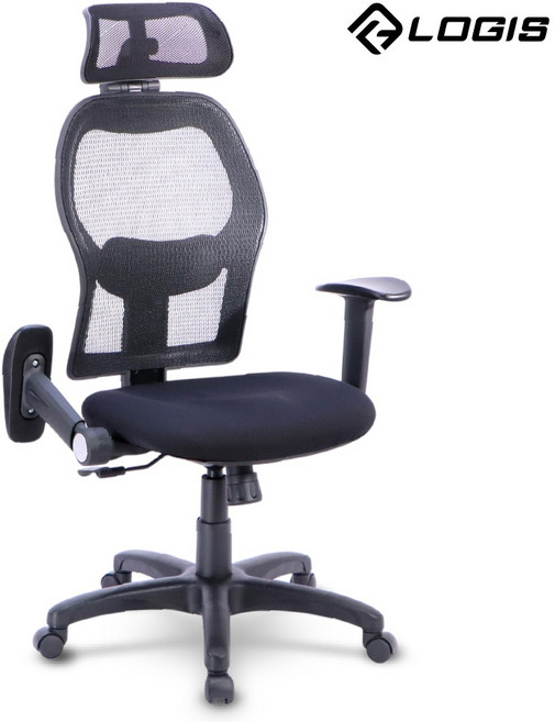 LOGIS 人體工學電腦椅 F855 立體釋壓大網背, 椅
