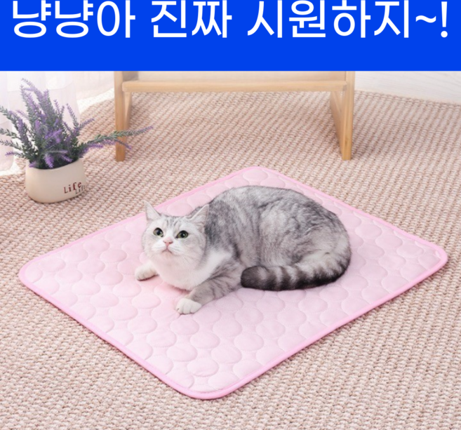 댕쿨 썸머 애견 쿨매트 냉감소재, 핑크