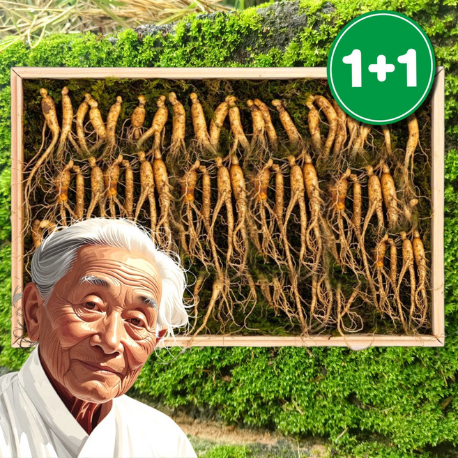 강원도 산양산삼 실속형 산삼 10뿌리, 1박스, 3g