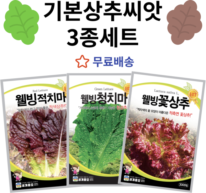 주주씨앗 기본 상추 씨앗 3종세트 웰빙 적치마 청치마 꽃상추 종자 상추씨 쌈채소, 1개