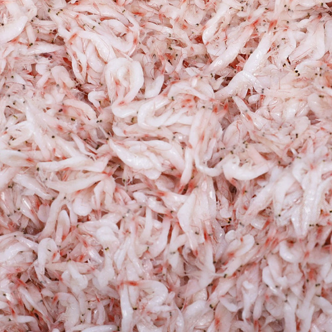 청우 국산 새우젓 10kg/20kg, 1개, 10kg