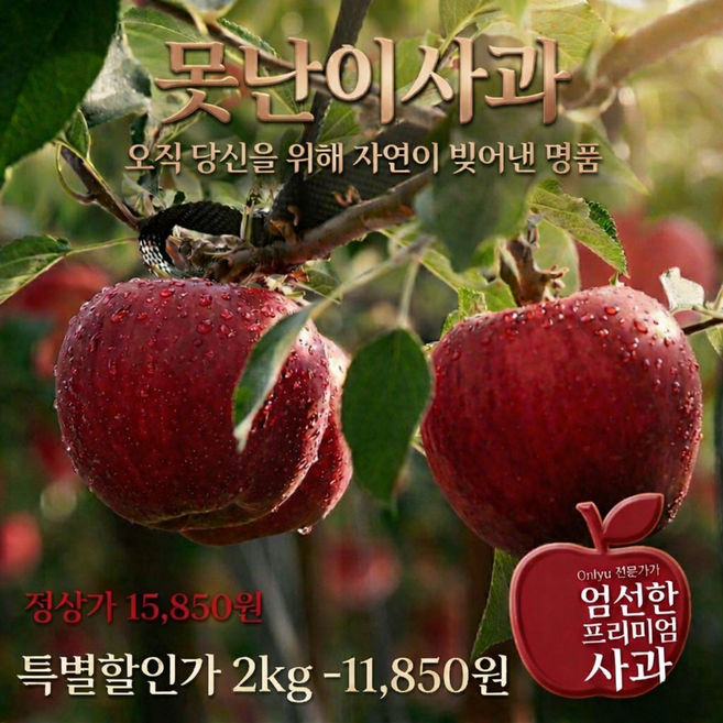 온리유 12Brix 안동부사 실속형 못난이사과, 1박스, 2kg (소꼬마과)