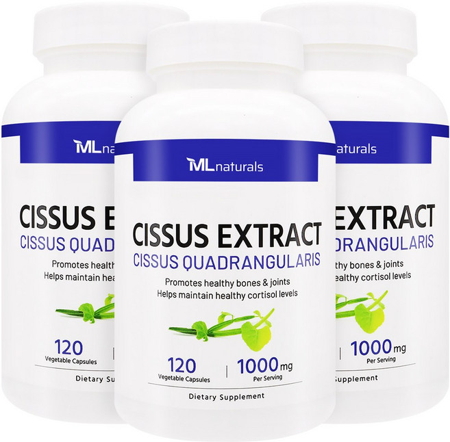 3병 [미국번개배송] 착한명품 신제품 마이라이프 내추럴스 50배 고농축 시서스 추출물 1000mg 120정, 3개