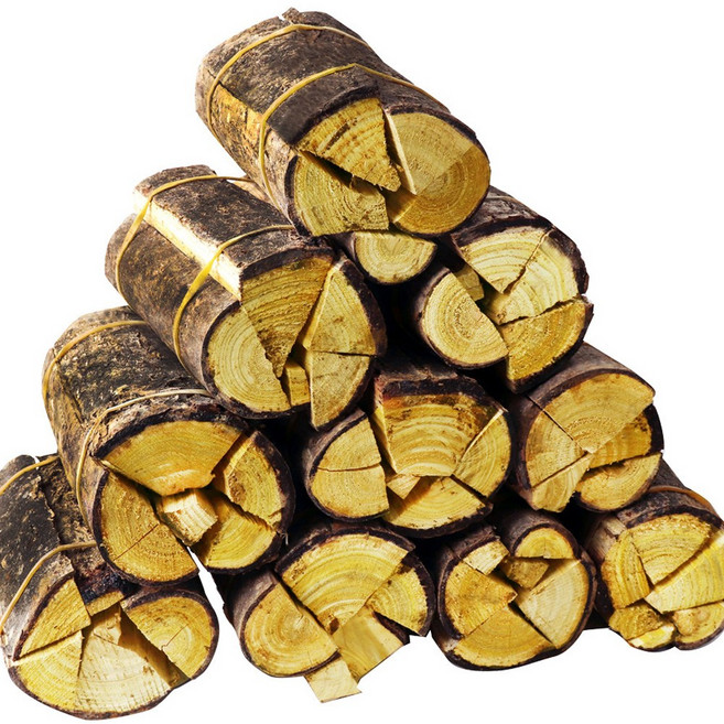 동의한재 국산 햇 옻나무 참옻나무 묶음 10개