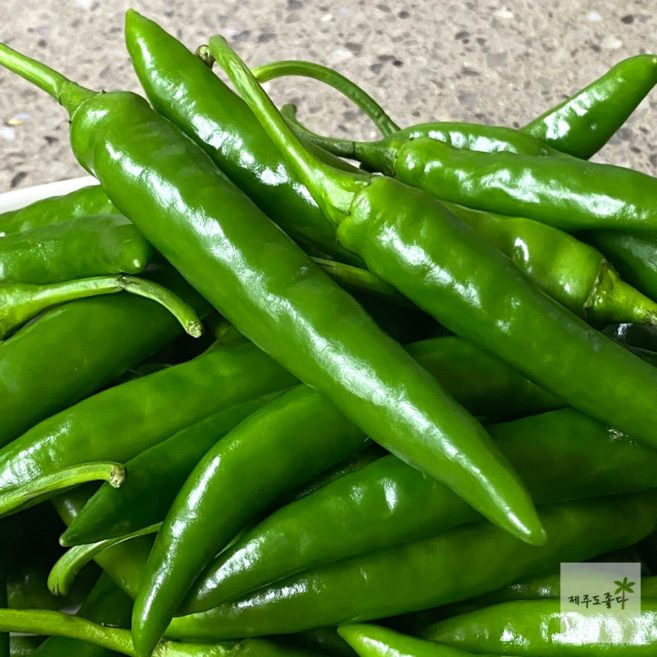 국내산 매운 청양 고추 땡초 (특), 청양고추 (특) 5kg, 1개