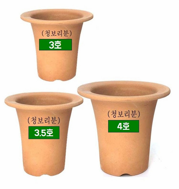난화분 풍란 화분 풍난 토기 국산 토분 풍란분 부귀란(재배분) 4SET