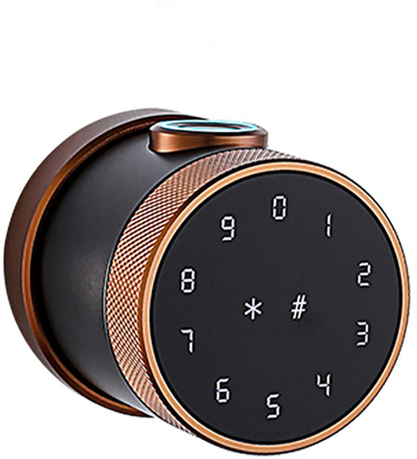 昌運 DJS-SK16 全功能智慧電子鎖 古銅紅 – 指紋/密碼/鑰匙/藍牙/感應開鎖 USB供電 100枚指紋容量, 一個, DIY自行安裝