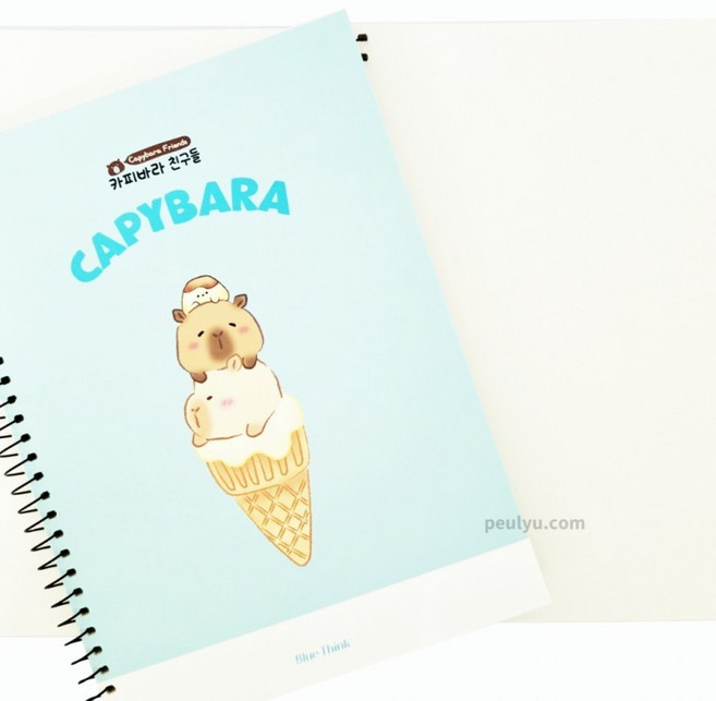 카피바라 친구들 연습장 랜덤 1개 초등 무지 노트 종합장 모조지 새학기 신학기 준비물, 심플디자인