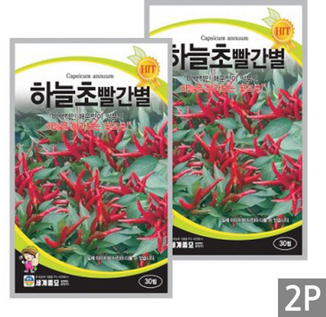 세인화분 하늘초 빨간별 고추 30립 - 하늘고추 매운고추, 2개