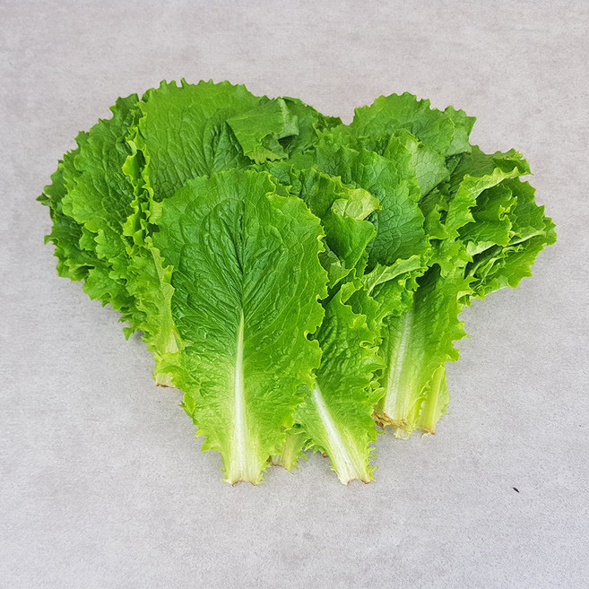 쌈채소 청상추 특 1kg, 1개