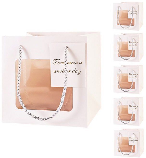 빛공 바닥넓은 정사각 투명창 윈도우 쇼핑백, 6개, 화이트