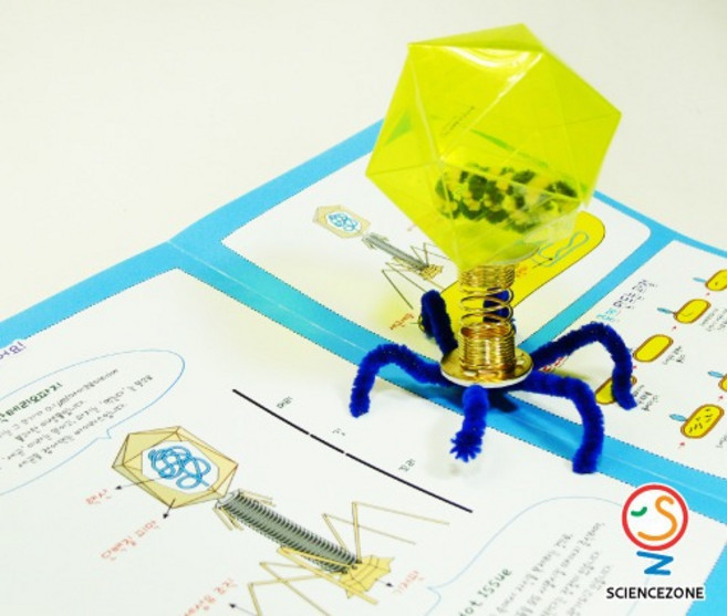 박테리오파지 (5인)