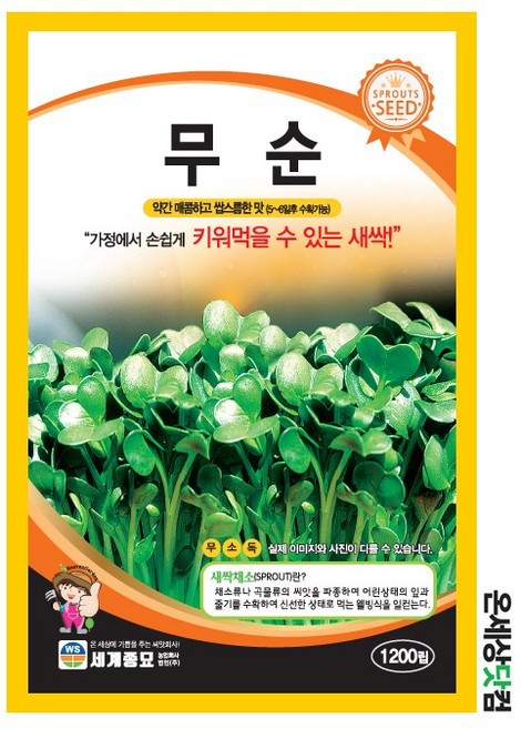 새싹 무순 700립/ 새싹씨앗 새싹키우기 수경재배 무순씨앗 무순씨, 2개