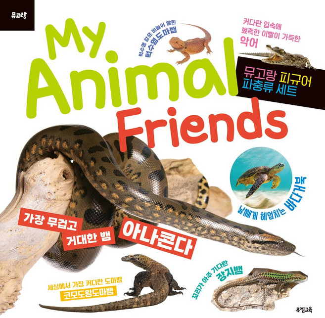 (뮤고랑) My Animal Friends 파충류:뮤고랑 피규어 파충류 세트, 뮤엠교육, (뮤고랑) My Animal Friends 파충류, 뮤엠교육 글창작연구소(저)