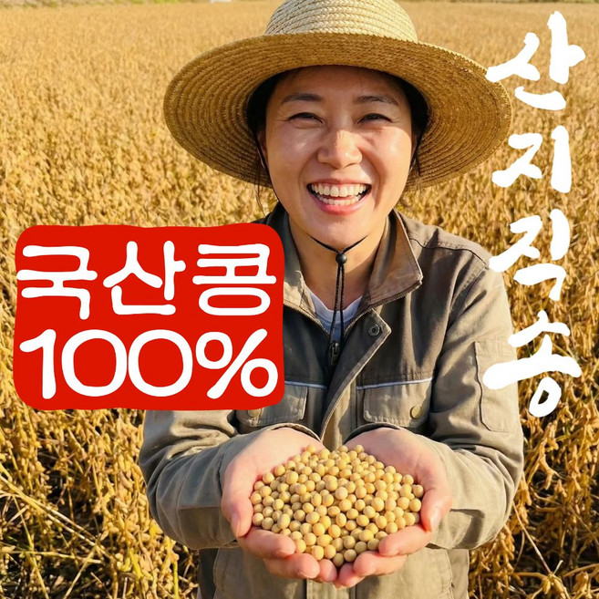 더맛곳간 국산 메주콩 대두콩 백태 콩 노란콩 두부콩 두유용 콩국수 콩, 1개, 2kg
