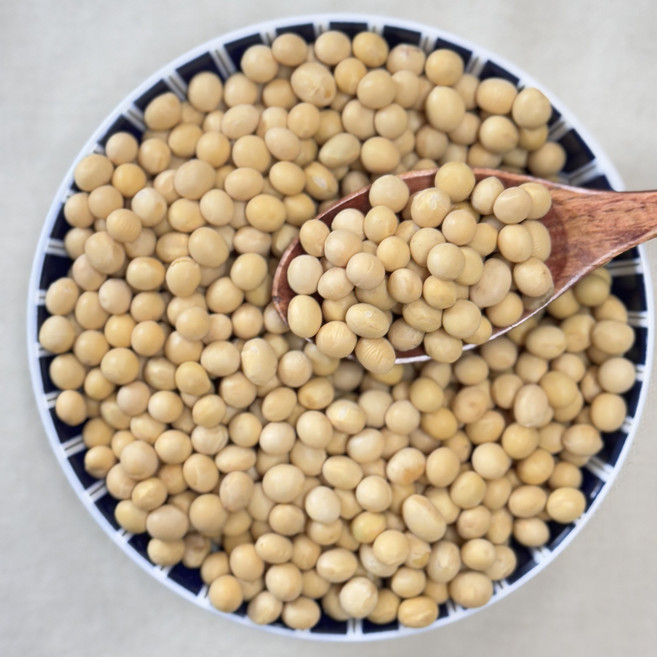 영원농산 25년산 국산 백태 대두 메주콩 콩국수 두부콩, 1개, 5kg