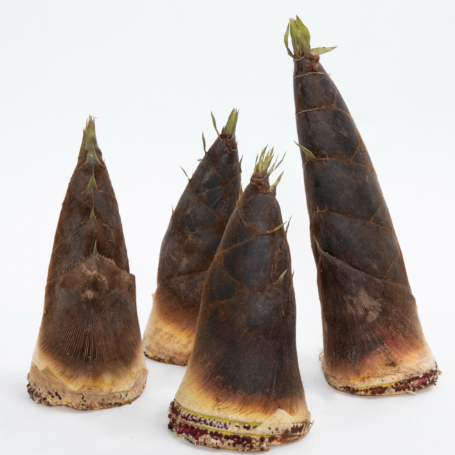 삼시세끼연구소 최상품 어린 담양 국산 죽순 햇죽순 생죽순 맹종죽순, 1박스