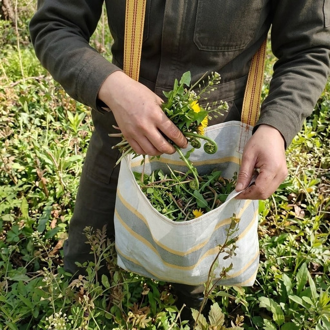 나물 수확 가방 소형 다용도 채집 주머니 약초 고사리 수거용 포대 어깨끈형, 1개