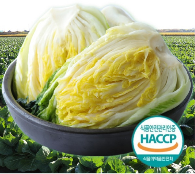 HACCP인증 해남 아삭아삭 절임배추 김장준비예약 도착일 입력 절인배추, 20kg, 1박스, 받고 싶은신날 입력