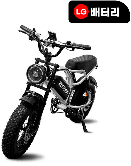 이지베이션 전기자전거 슬릭 미니 C5 750W 16인치 실버 LG셀 48V 10Ah, 새틴실버, 스틸