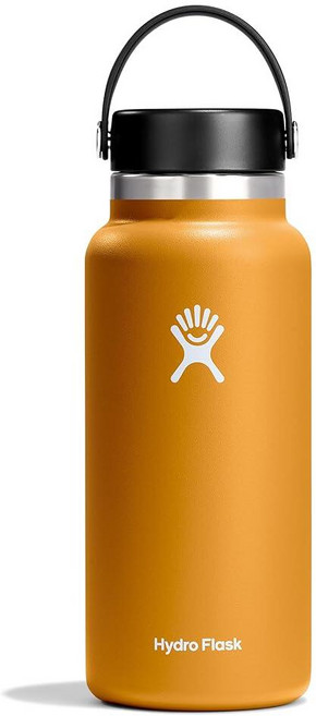 Hydro Flask 하이드로 플라스크 와이드 플렉스캡 보틀 946ml 아가베 그린 162815, 946.4ml(32온스), 화석