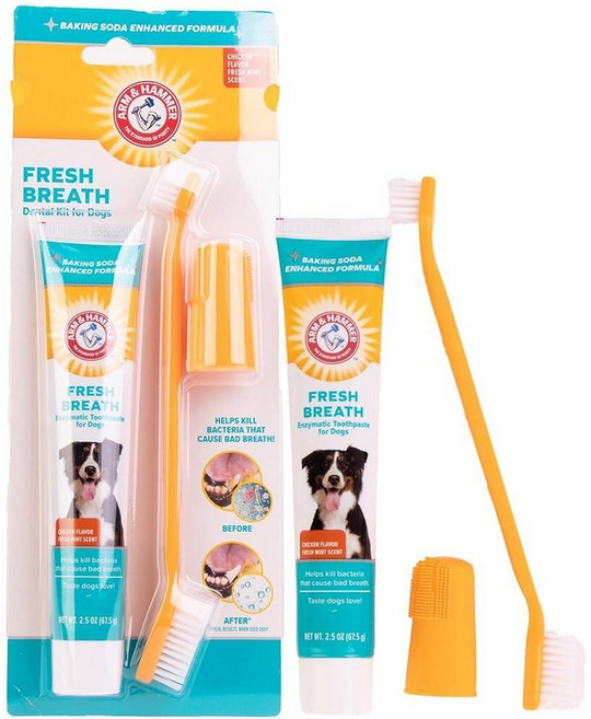 암앤해머 Arm & Hammer PET 펫s Fresh Breath 효소 강아지 치과 관리 키트 치석 조절 및 구강 위생 칫솔과 손가락 브러시가 있는 치약 닭 맛 70.9g, 닭고기
