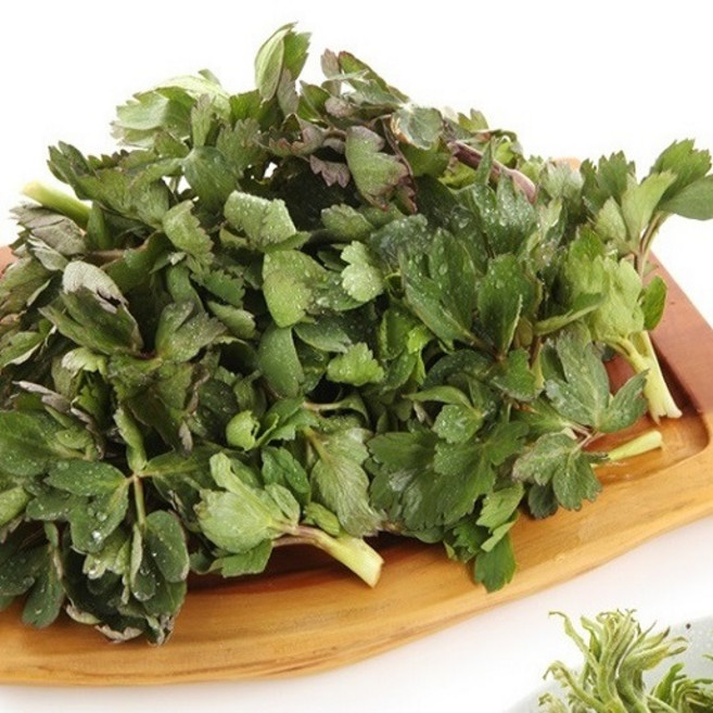 [농협선별] 여수 금오도 방풍나물 2kg 4kg, 1개