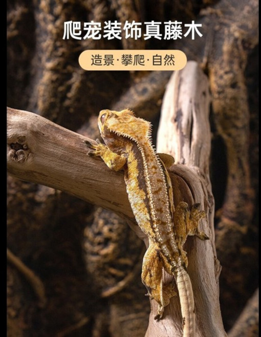 파충류 및 양서류 애완동물 사육장 장식용 천연 나무 등반 나무 도마뱀 모니터 도마뱀 뱀 등반용 지지대, [08] 용무늬 고목 20-25cm