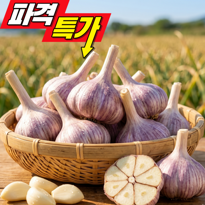 [26년수확] 고흥 국산 햇마늘 대서마늘 대알선별 장아찌용 통마늘 산지직송, 1박스, 국내산 햇마늘 2kg